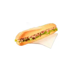 صاروخ تونه